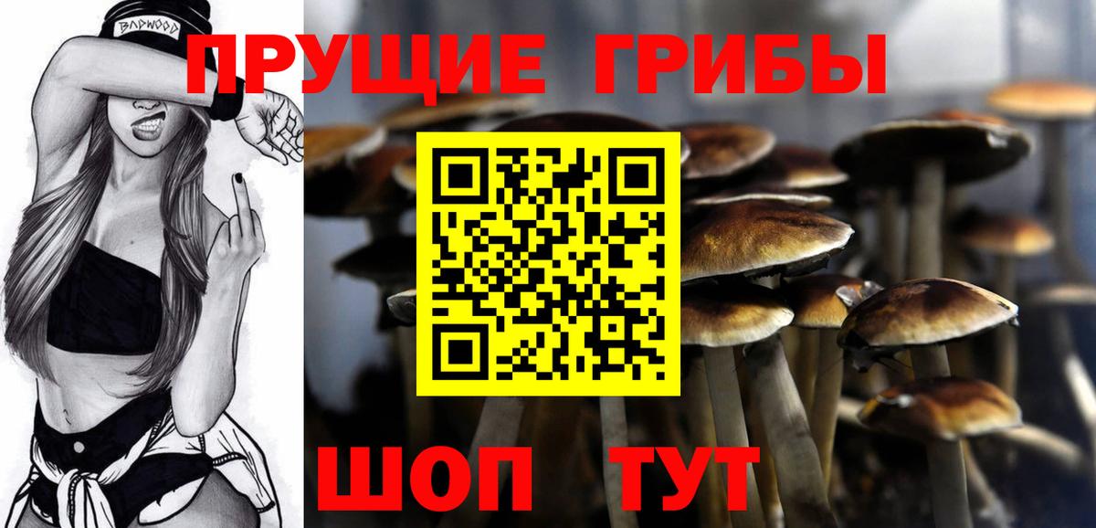 Галлюциногенные грибы Cubensis Реж