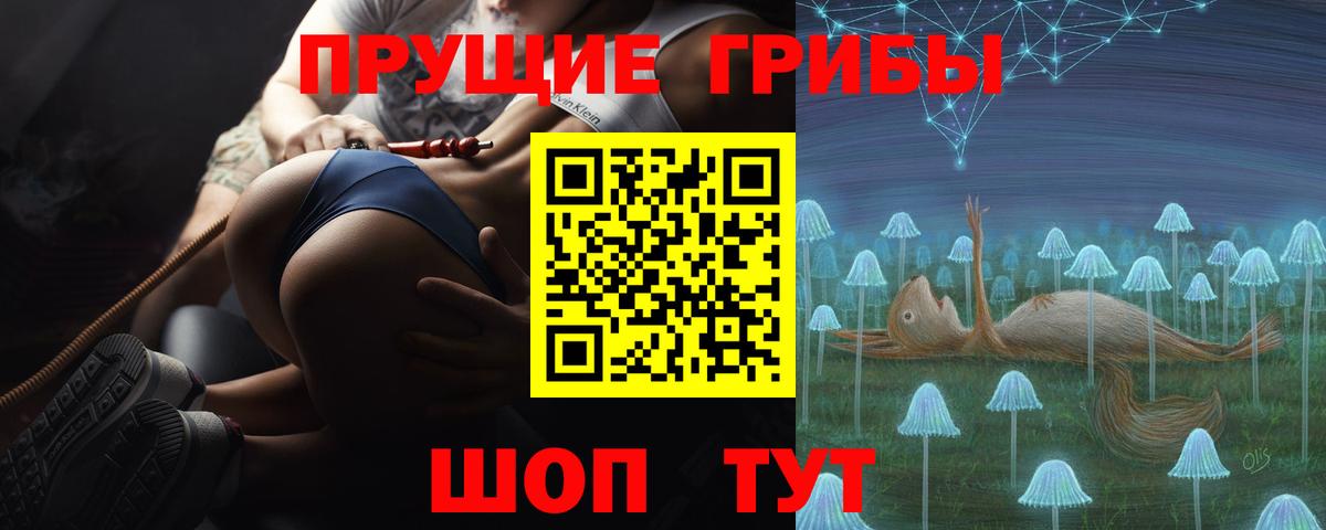 Реж  Галлюциногенные грибы прущие грибы  Вход с VPN  Галлюциногенные грибы Psilocybine cubensis 