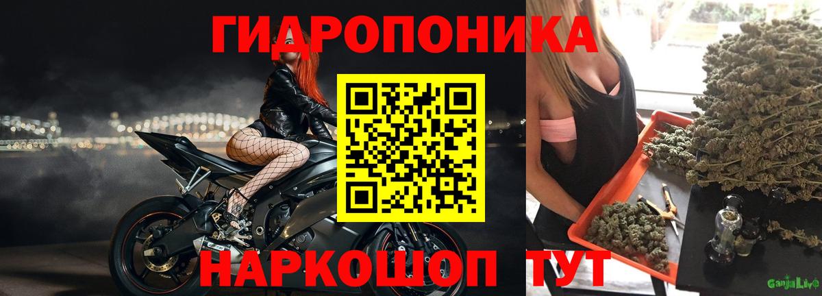 Шишки марихуана гибрид  Вход с VPN  Каннабис White Widow  МАРИХУАНА семена  Реж  МАРИХУАНА гибрид 